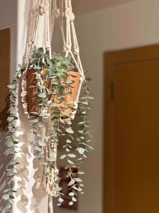 Apartamento El Picu Collanzo Extérieur photo