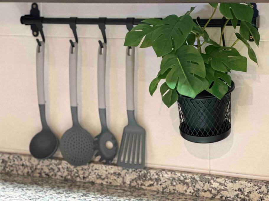 Apartamento El Picu Collanzo Extérieur photo